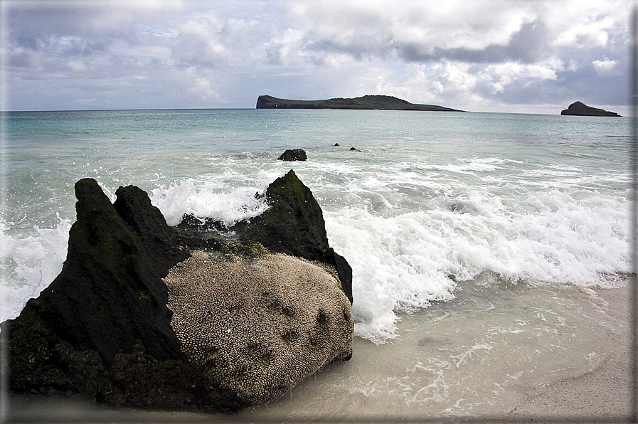 foto Isole Galapagos